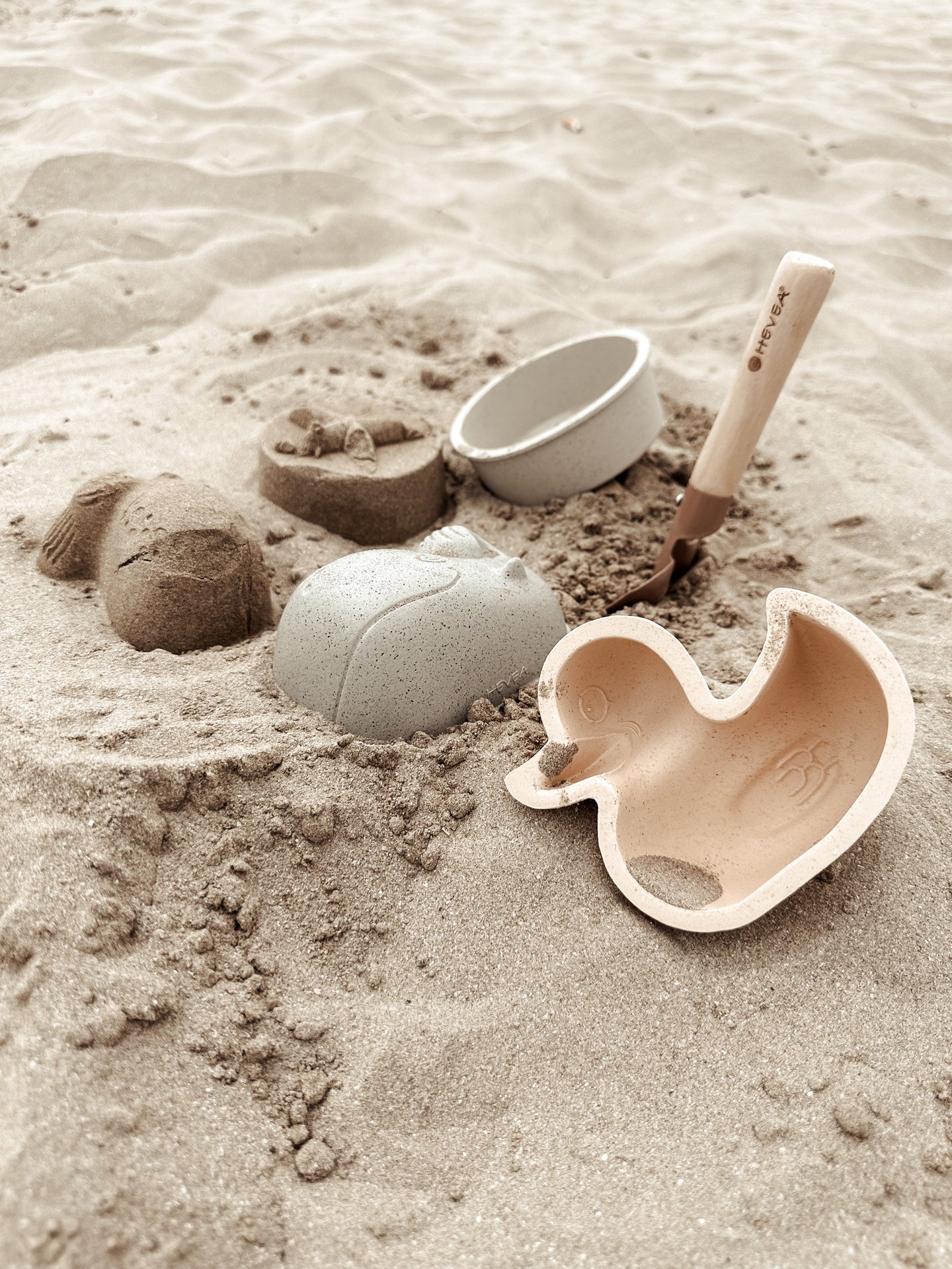 Duck Sand Mold Set