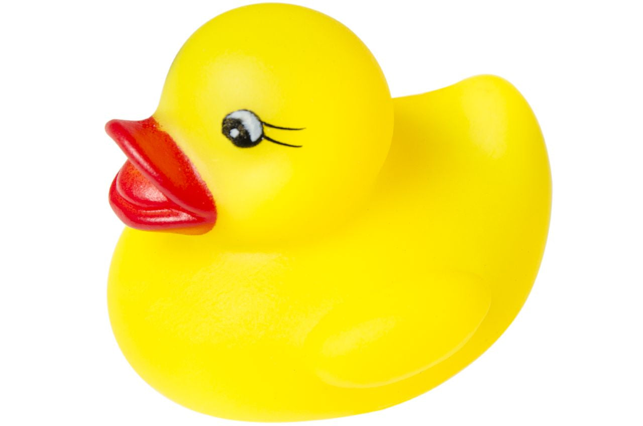 Canard de Bain Jaune