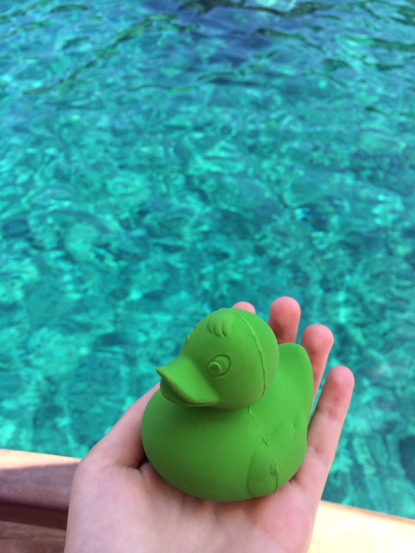 Produit Elvis Le Canard Vert Fan