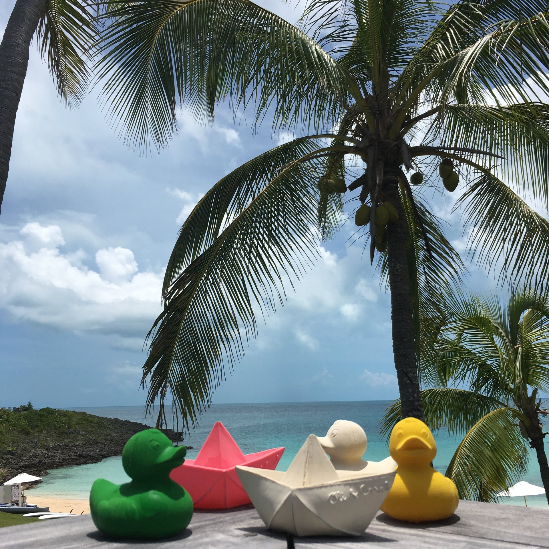 Produit Elvis Le Canard Vert Collection