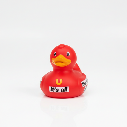 Canard Conceptual