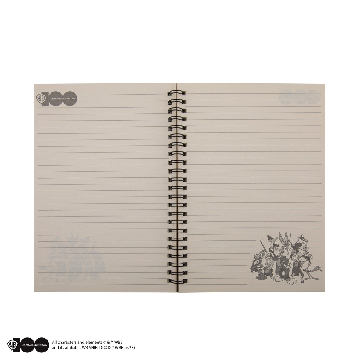 Carnet Les maisons Poudlard des Looney Tunes