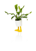 Duck Feet Flower Pot