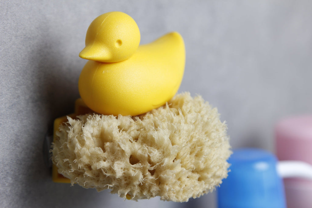 Porte éponge Canard Qualy | Boutique d'objets cadeaux designs 