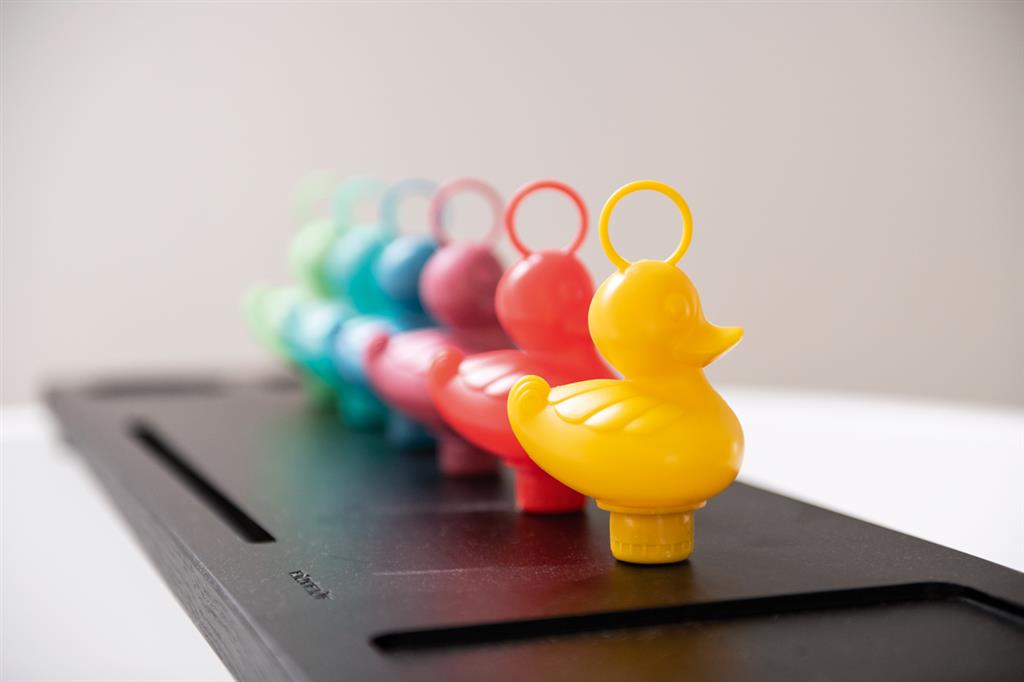Fishing Ducks Set - Rainbow
