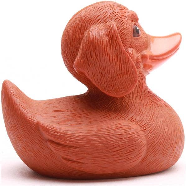 Duck Dachshund