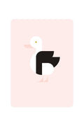 Carte postale avec Radjah Duck