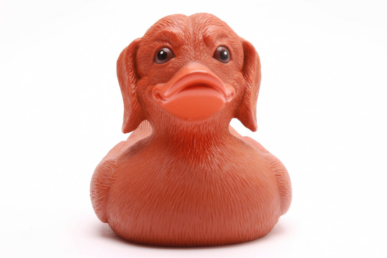 Duck Dachshund