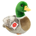 Peluche Anatra Selvatica