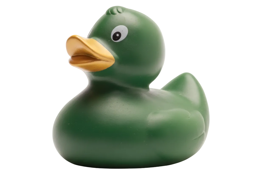 Anatra Verde Scuro