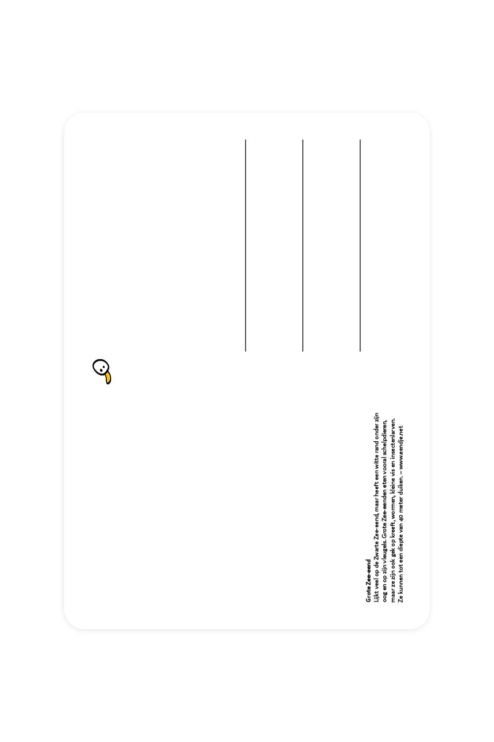 Carte postale avec grand canard de mer