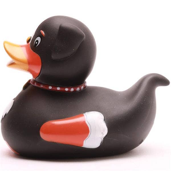 Duck Dog