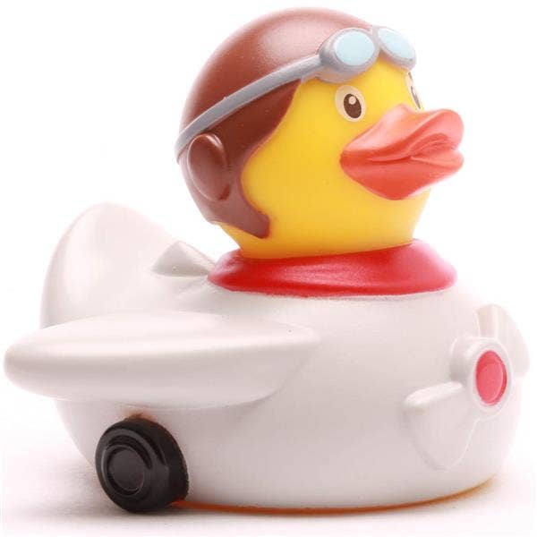 Canard Aviateur