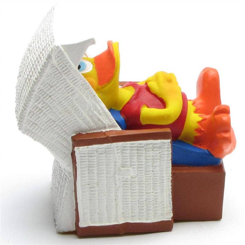 Canard Chaise de plage