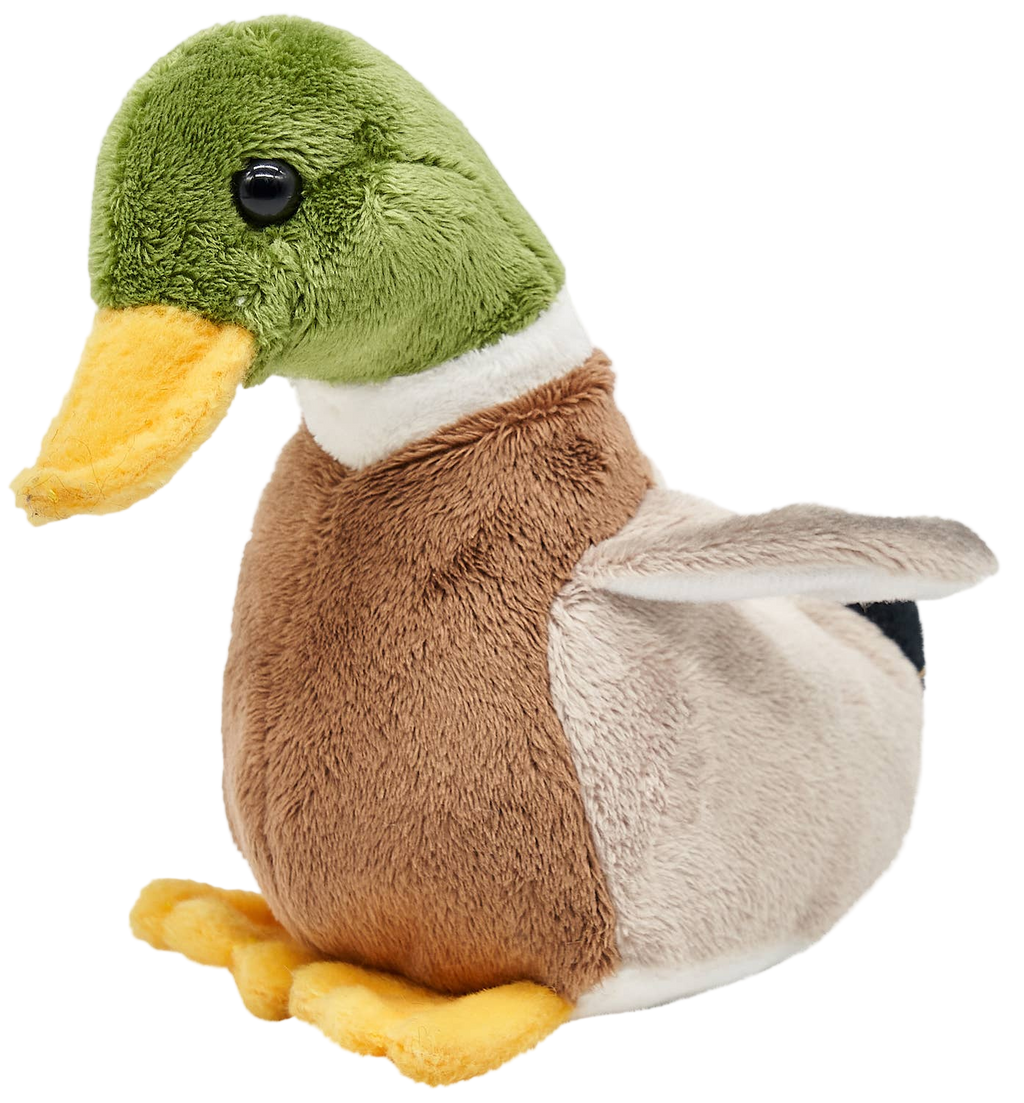 Mallard Duck Plush