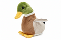 Mallard Duck Plush