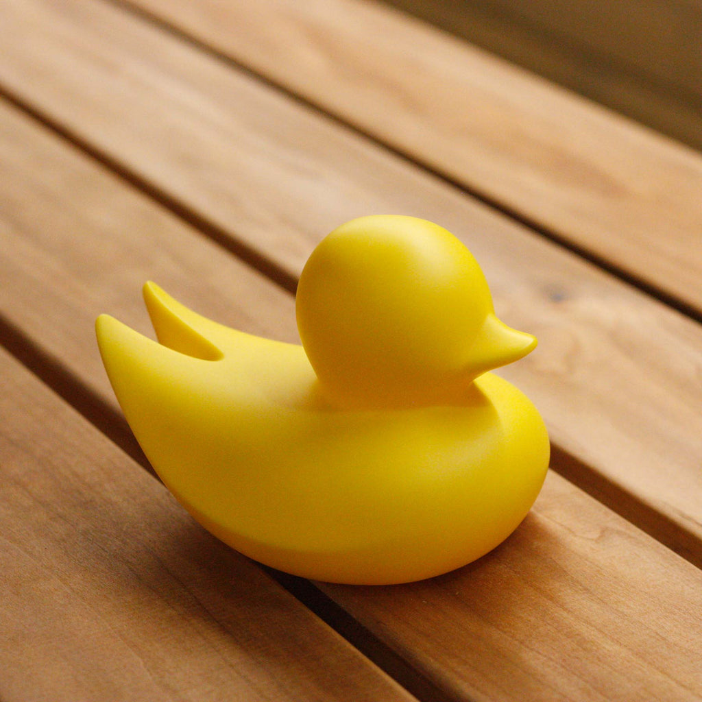 Canard Minimaliste