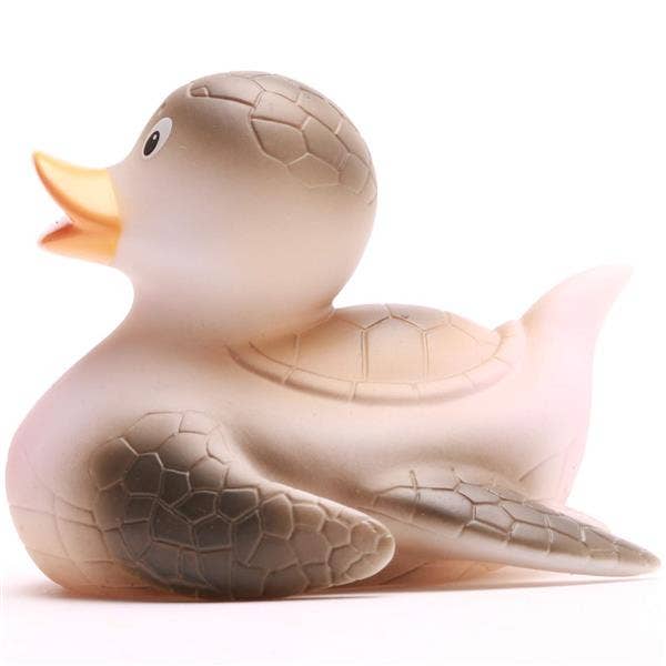 Turtle duck