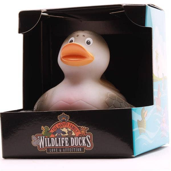 Turtle duck