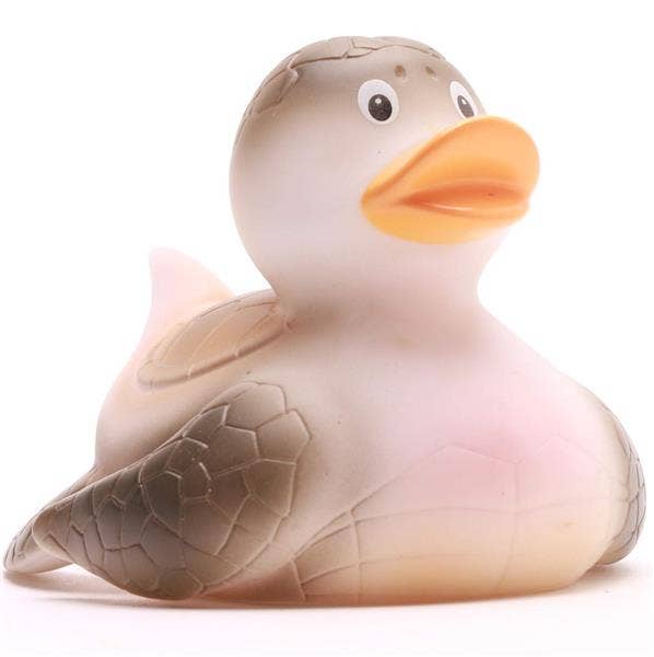 Turtle duck