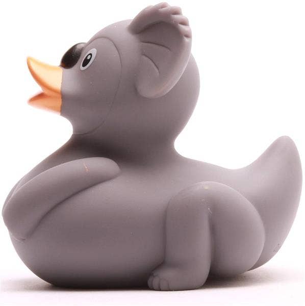 Duck koala