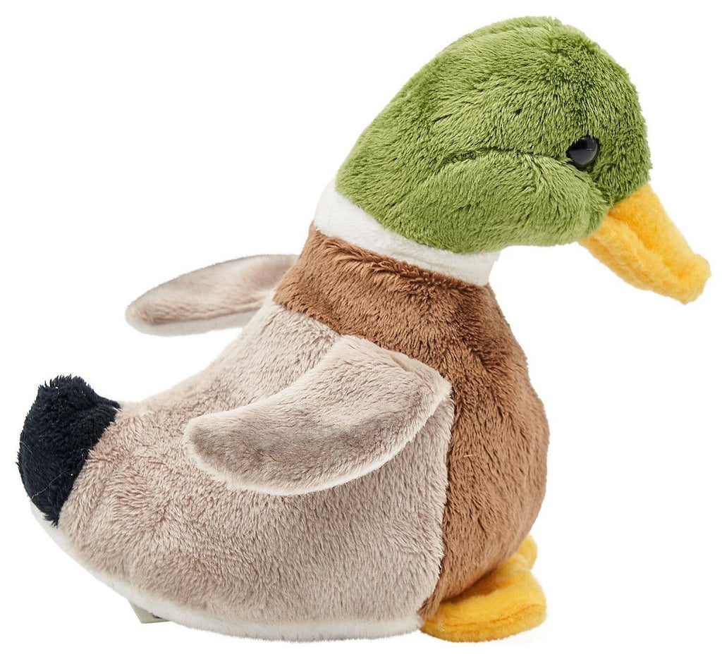 Peluche Anatra Selvatica con Suono