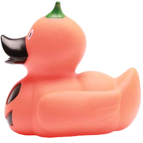 Anatra Zucca di Halloween