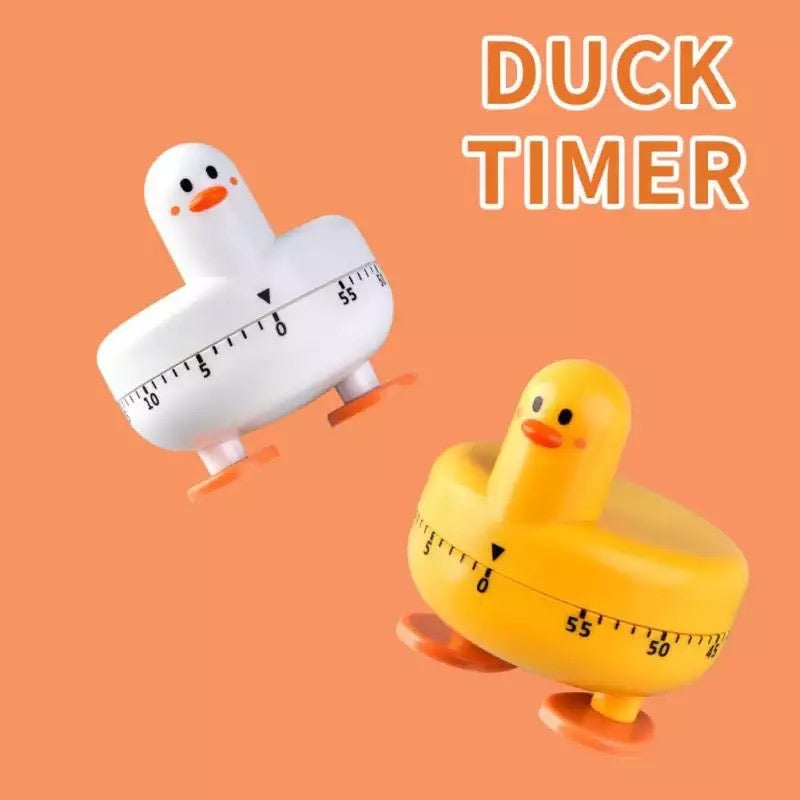 Timer Anatra