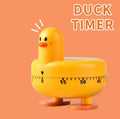 Timer Anatra