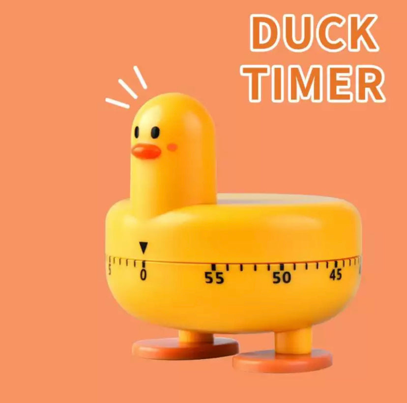 Timer Anatra