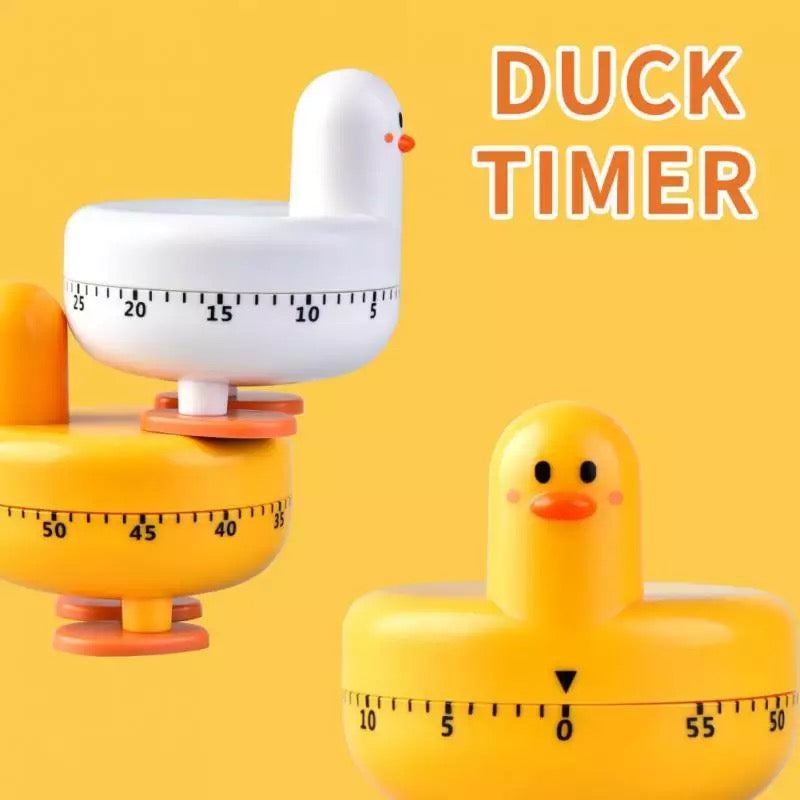 Timer Anatra