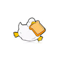 pins canard blanc pain de mie