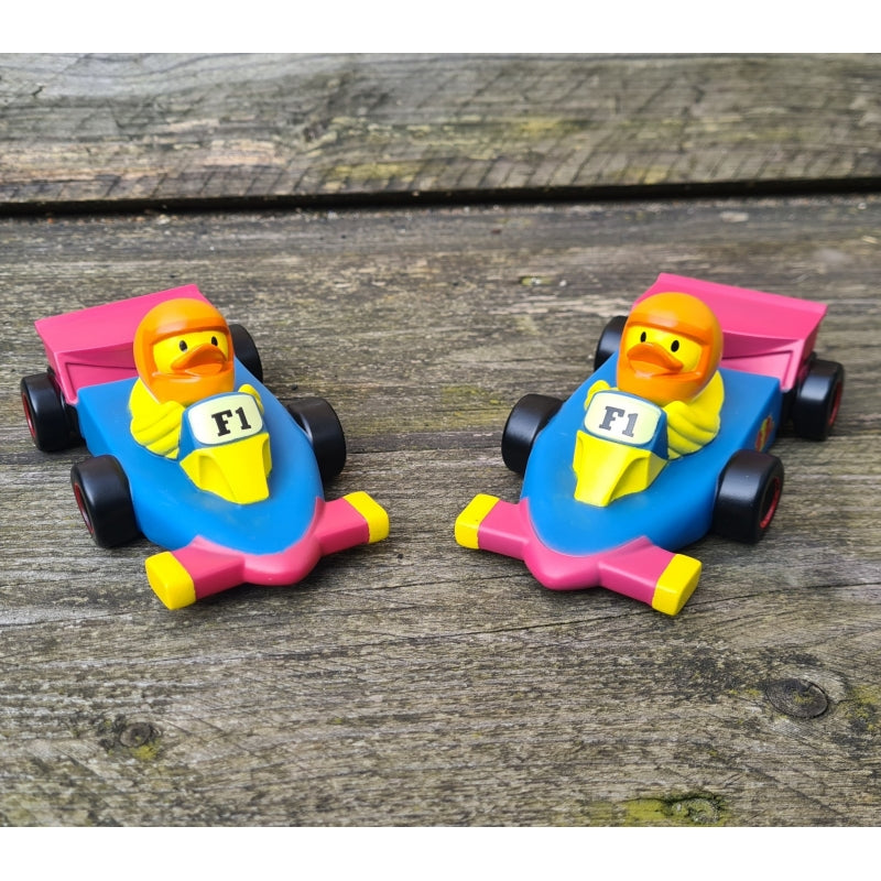Canard Voiture de course F1