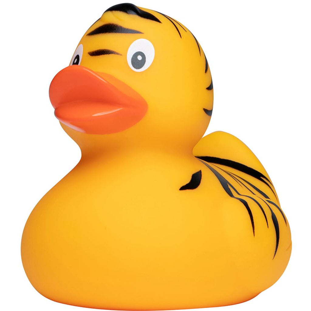 Canard Tigre