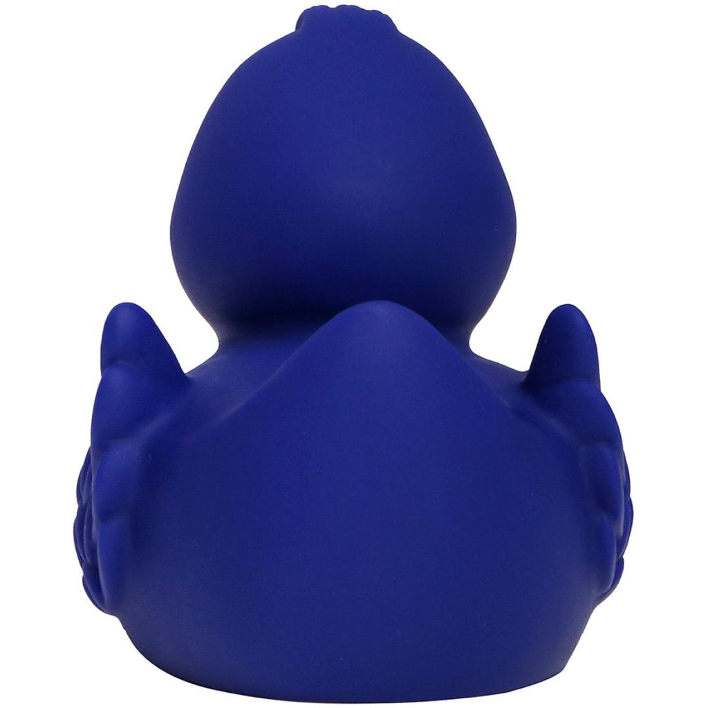 Canard uni avec ailes