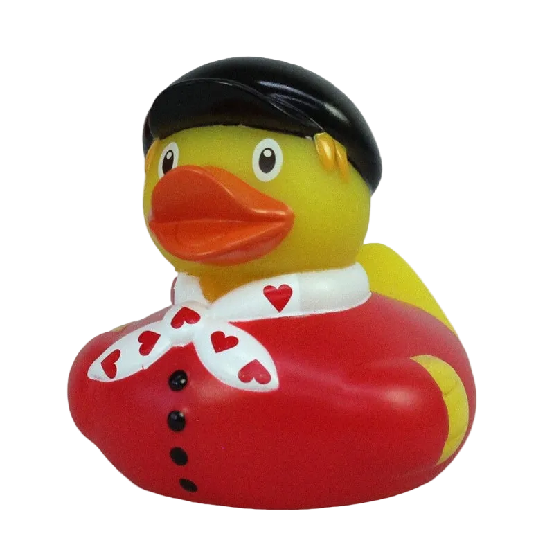 Canard Hollandais